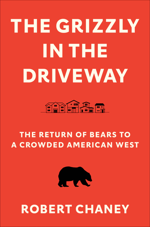 Grizzly in the Driveway cover